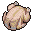 Chicken (Whole)