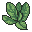 Comfrey