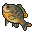 Green Sunfish