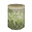 Jar of Cabbage