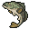 Largemouth Bass