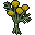 Marigold
