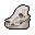 Piglet Skull