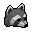 Raccoon Head