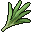 Sage