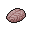 Small Animal Brain