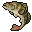Smallmouth Bass