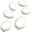 Squid Calamari