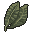 Tobacco