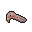 Turkey Poult Head