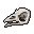 Turkey Poult Skull