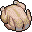 Turkey (Whole)