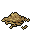 Wheat Seeds