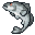 White Bass